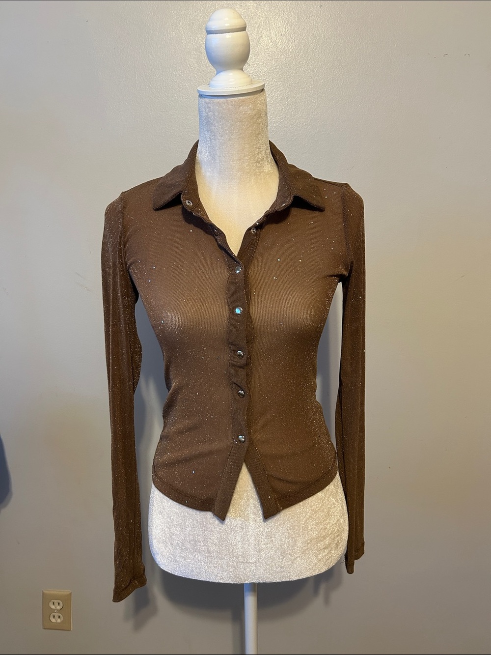 Princess Polly sheer top